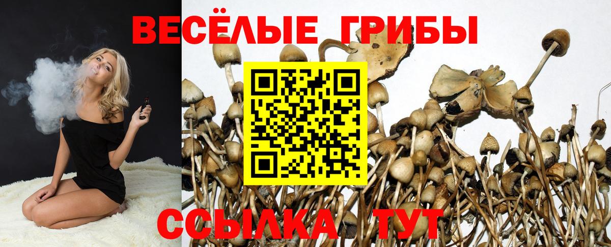 Нефтеюганск  Псилоцибиновые грибы мицелий  хочу наркоту  Галлюциногенные грибы MAGIC MUSHROOMS  Вход с VPN 