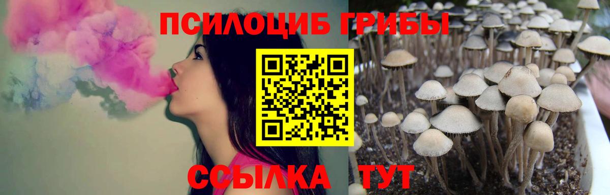 Псилоцибиновые грибы Magic Shrooms Нефтеюганск